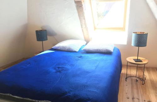 Entre châteaux et vignobles, au bord de la Loire - Foto 19