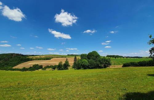 Helle Ferienwohnung - Südeifel - Foto 15