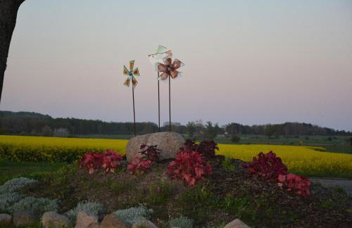 Reethäuser auf Rügen - Foto 15