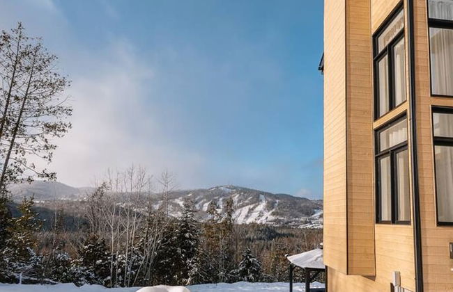 Le Sherpa -spa Billard et acc s au lac - Foto 51