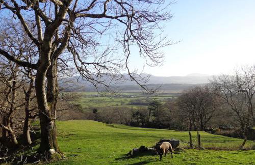 Awelon Holiday Cottage sleeps 10, Hot Tub, Log Burner, North Wales, Porthmadog - Foto 13