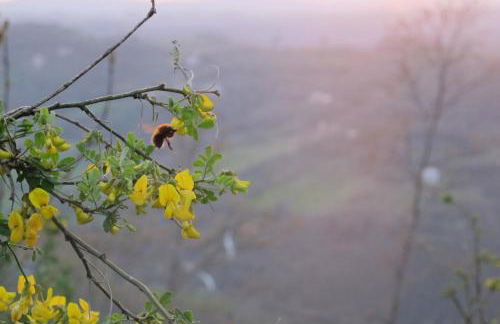 Luxury Casale Sabina Valley - Foto 50