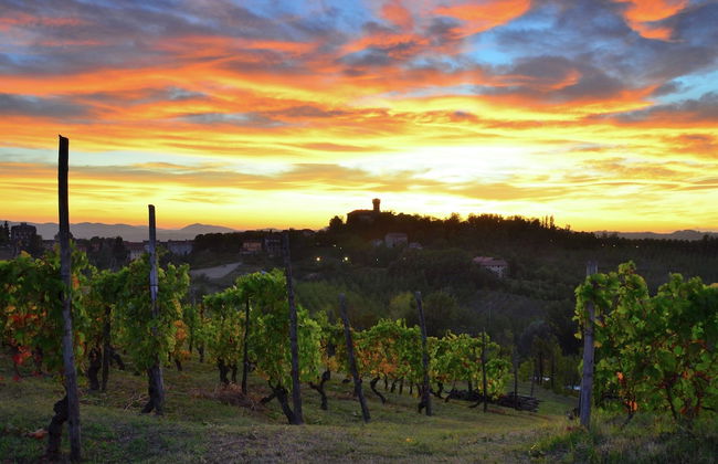 Apartment in Cut Monferrato With Garden - Foto 32