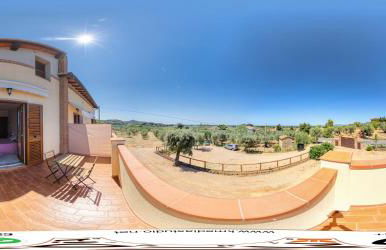 Agriturismo IL VECCHIO OLIVO - Foto 16