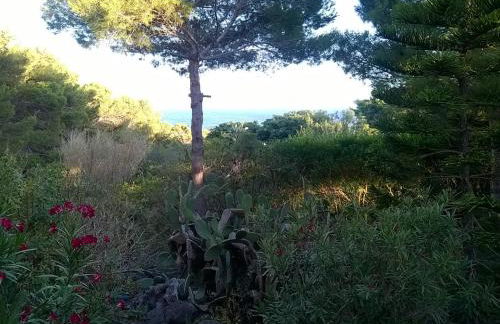 Ustica Mari e Carlo Contrada Ogliastrello - Foto 8