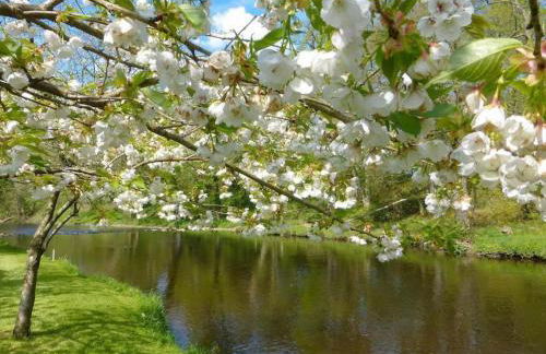 Country Cottage on Private Estate - Foto 13