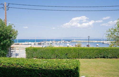 Seashell by halu! - Foto 60