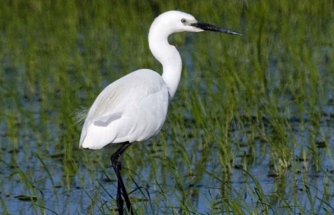 Balade en kayak à la Isla de Gracia - Photo 7