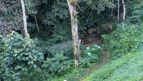 Chácara Recanto da Paz - Foto 4, Garden view