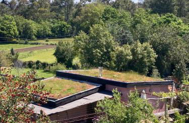 Cabana do Dinamarquês em Arga de Baixo - Foto 1
