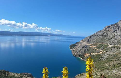 Oliva Apartments - Foto 25