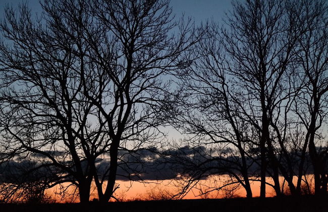 Spacious Apartment in Boddin With Garden - Photo 57