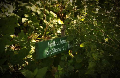 Urlaubsloft AUGUST'S Schatzkiste - Photo 43