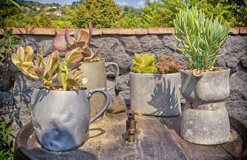 Il Casale di Monacella - Foto 46