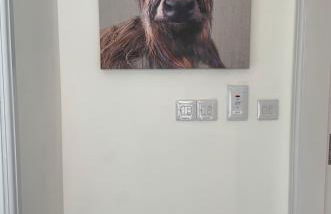 Deeside Snugs Apartments - Foto 102