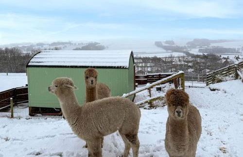 Brockalee Farm Retreat - Foto 17