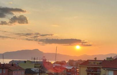 Seagulls, Elegance and Freedom - Foto 7