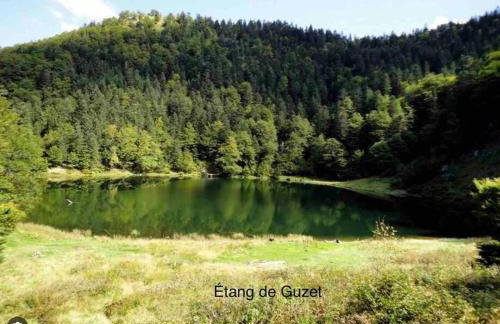 Studio confort montagne - Foto 23