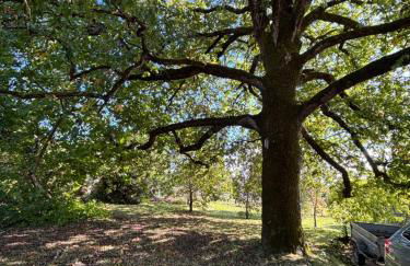 Clos Saint Jean - Foto 51