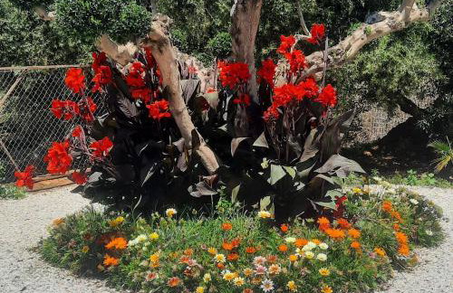 Amare suite - Foto 68