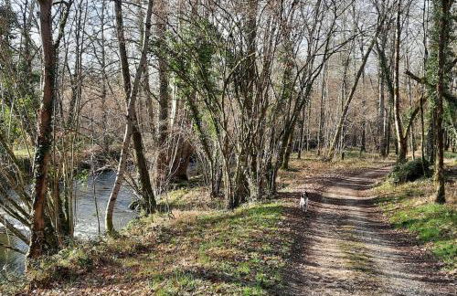 Maison d'Amis Des Hirondelles - Foto 38