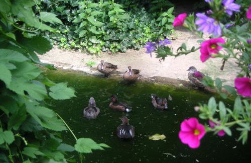 Ferienhaus von Bargen - Foto 30