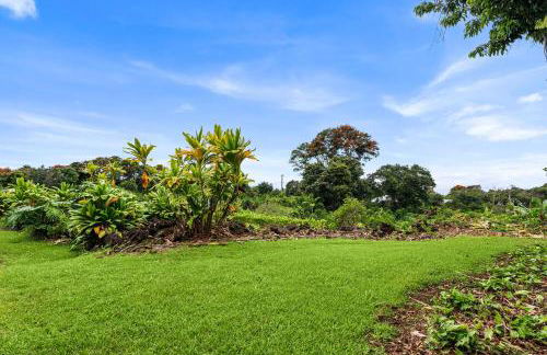 Orchid Hale - Foto 62