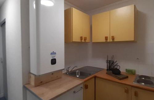 Bielle, grand appartement 38m2, piscine, 4 pers, couchages 160x200 - Foto 3