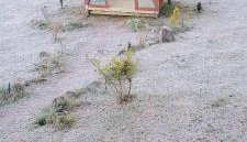 De oio no arroio - Foto 2