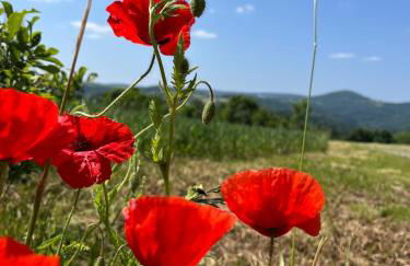 Erzgebirgshaus Zirbenliebe - Foto 4
