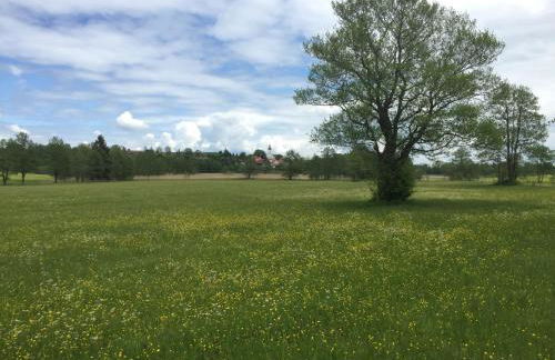 Bergnest Bad Bayersoien - Foto 21