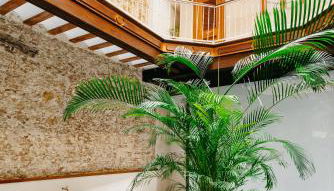 innCádizPalacio Apolo - Foto 3