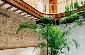 innCádizPalacio Apolo - Foto 3