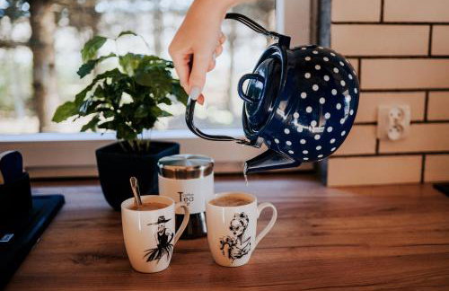 Świerkowisko cisza las plaża blisko - Foto 48