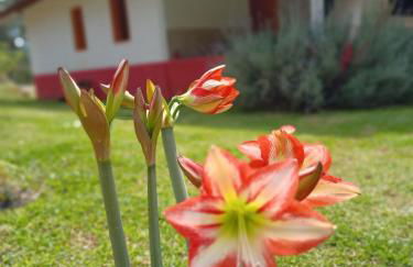 Casa Morango Gonçalves - Foto 17