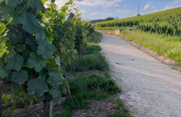 Au pied des vignes - Foto 40