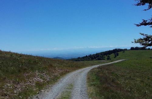 Gîte paisible au pied du Bassin de Champagney, animaux acceptés - FR-1-583-372 - Foto 20