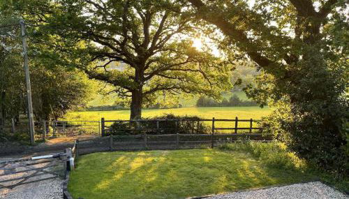 Little Patch - Photo 2