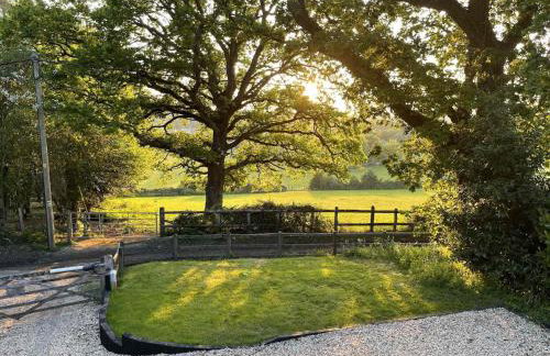 Little Patch - Foto 2