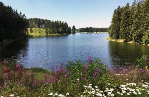 Harz Apartment 'Storchennest' mit Seeblick - Bubo am See - Photo 29
