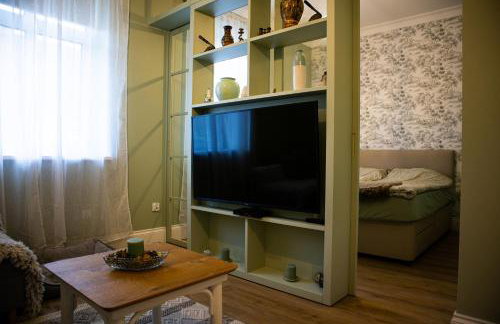 Stara Szkola - Wielki Medromierz 59 - Foto 9