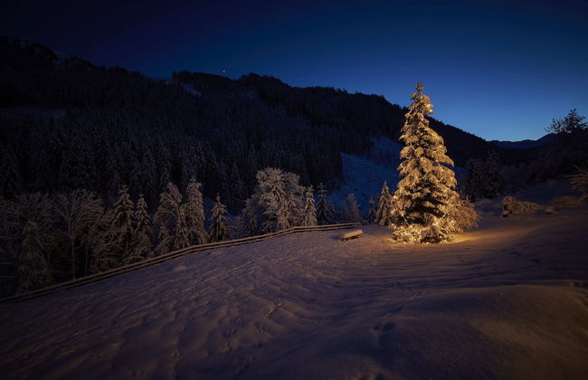 Chalet Tannenbaum - Foto 74