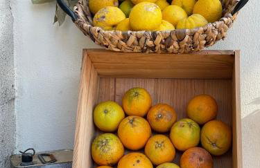 Villa Metochia - Foto 11