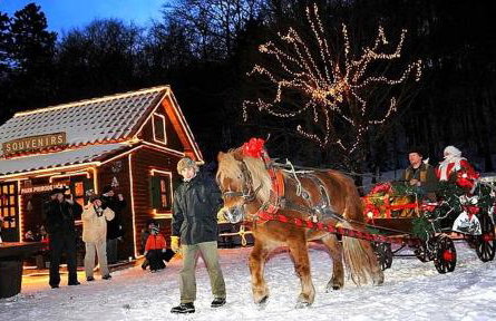 Villa Mare & Monti Istra - Foto 26