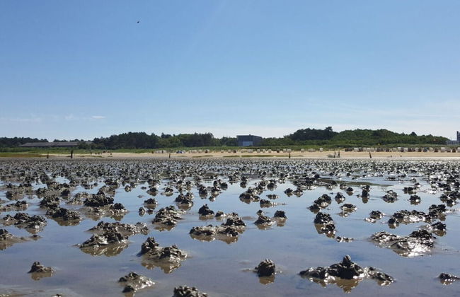 High Geest 4 - Including Many Extras - Foto 19