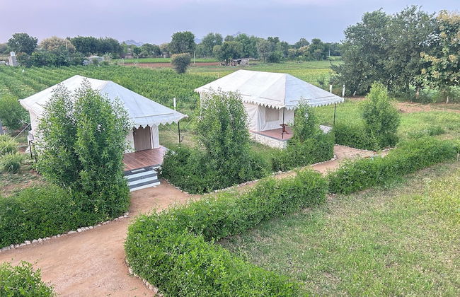 Jawai Horizon Camp - Foto 6