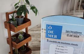 Ô Gris-Nez - à 20m de la plage - Photo 19