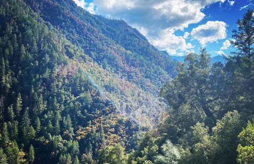 Trinidad Artist and Healing Retreat with Hot Tub - Foto 32