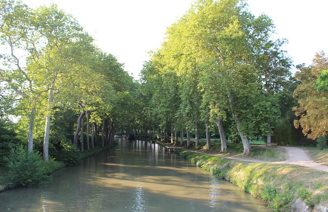 Tour privato di un giorno: Lastours, degustazione di vini, Minerve, Canal du Midi da Carcassonne - Foto 13