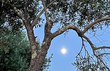 Casa Rural Los Menestrales - Foto 50